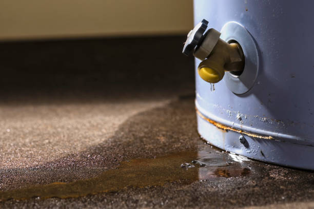 Best Water damage repair service  in Paradise, NV
