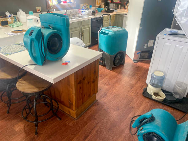 Best Professional water damage repair  in Paradise, NV