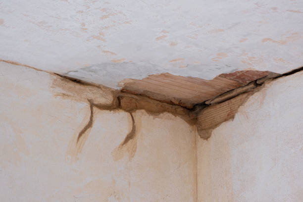 Best Local water damage restoration  in Paradise, NV