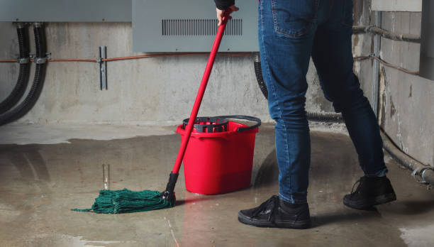 Best Mold removal after water damage  in Paradise, NV