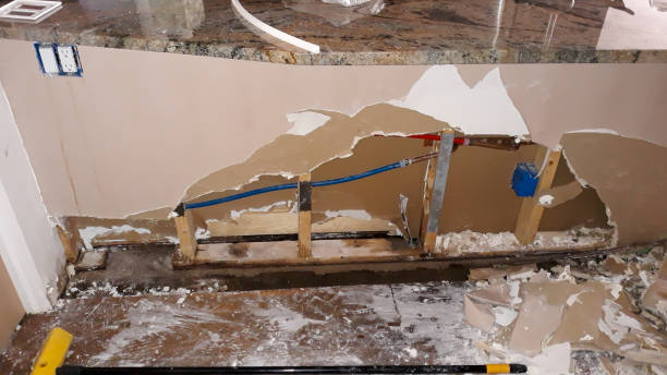 Best 24-hour water damage restoration  in Paradise, NV