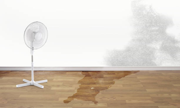 Best 24/7 water damage repair  in Paradise, NV
