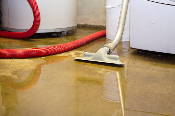 Best Mold removal after water damage  in Paradise, NV