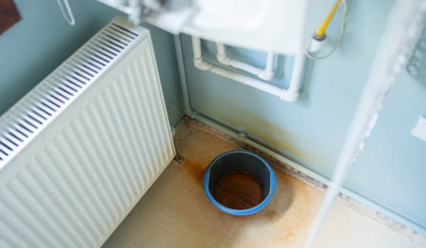 Best Water damage restoration process  in Paradise, NV